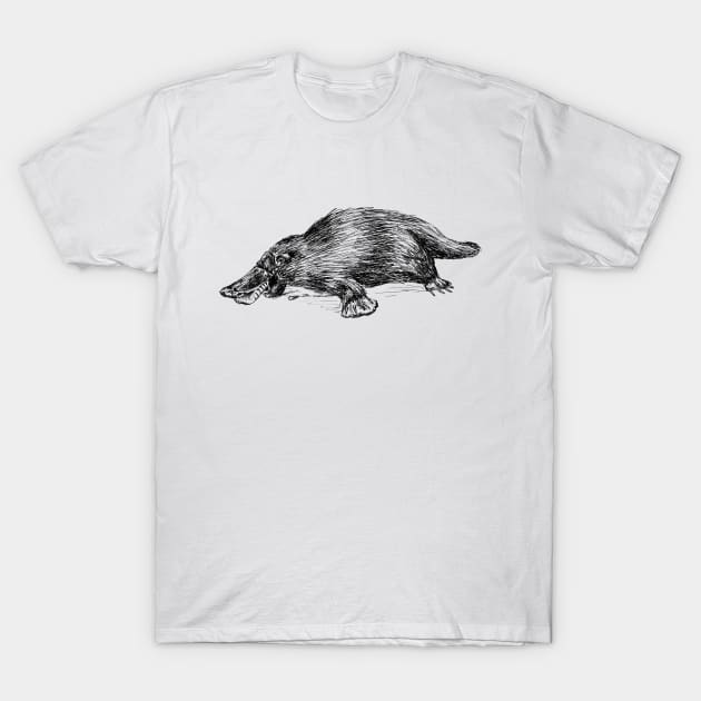 Platypus Illustration T-Shirt by rachelsfinelines